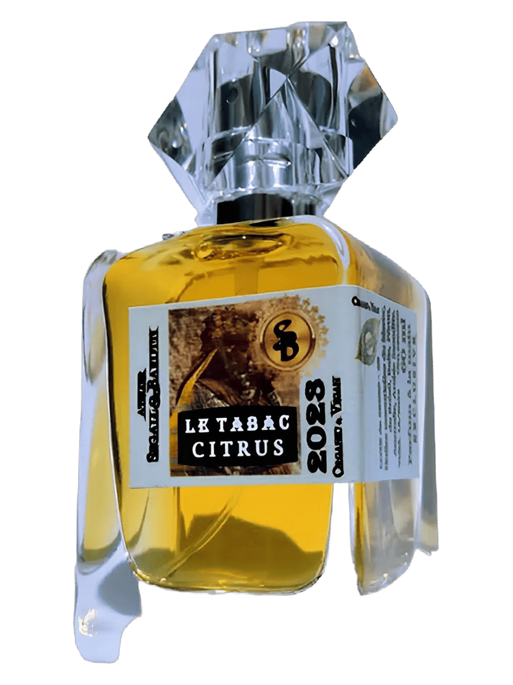 Le Tabac & Citrus by Atelier Segall & Barutti