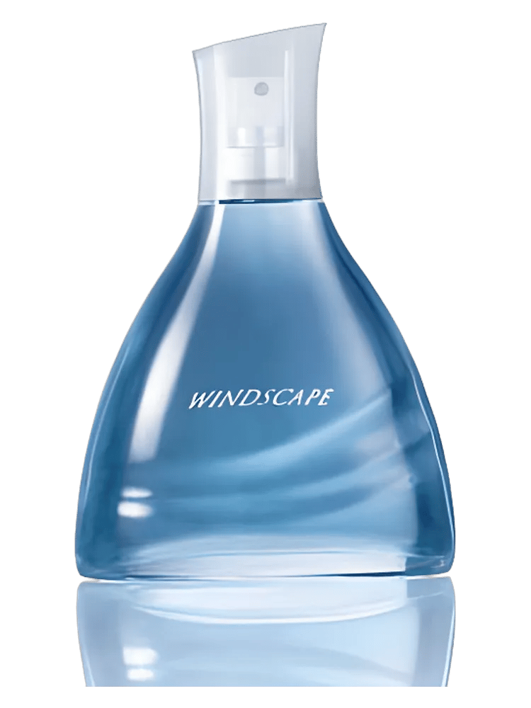 Windscape For Him by Avon