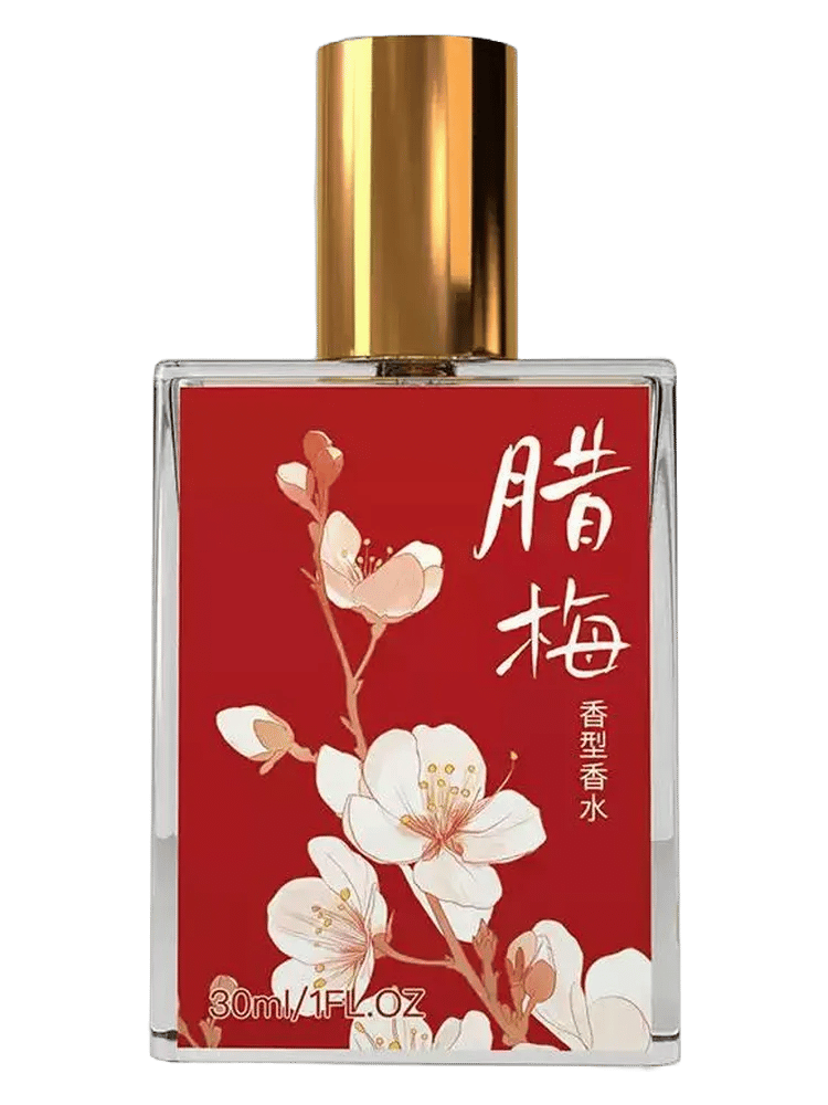Wintersweet 腊梅 by 芭蕾 Ballet