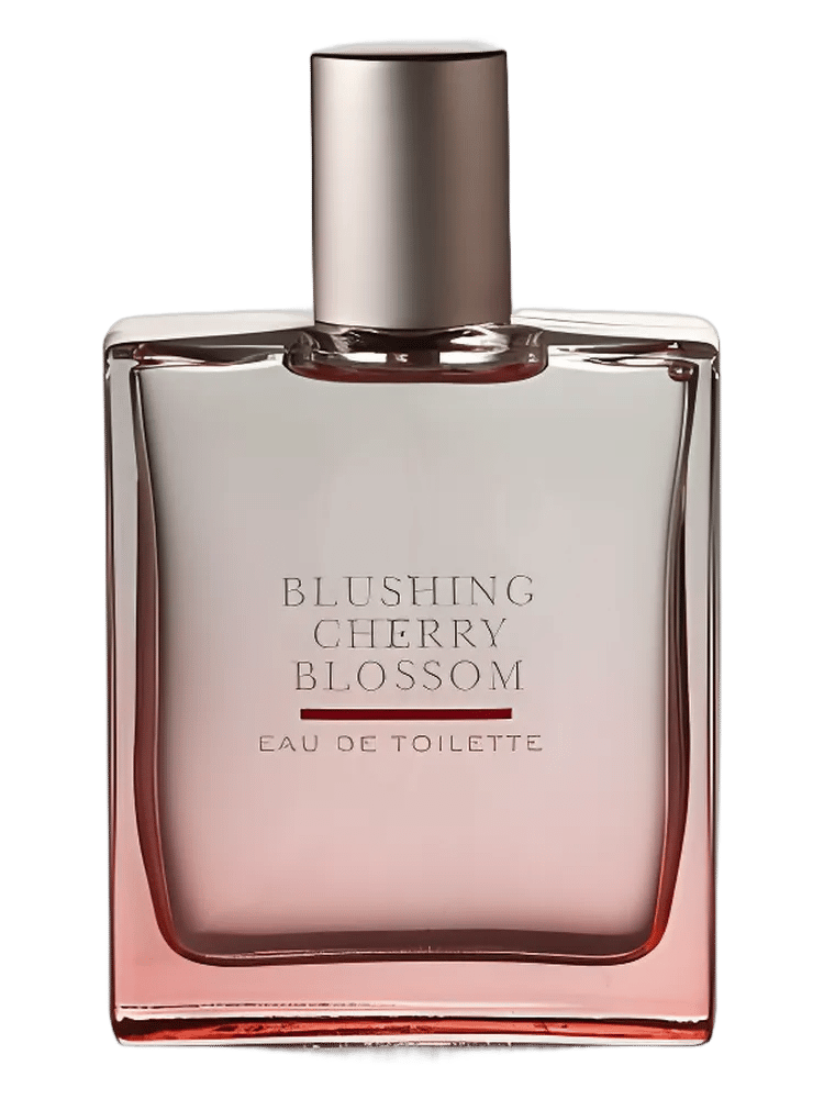 Blushing Cherry Blossom by Bath & Body Works