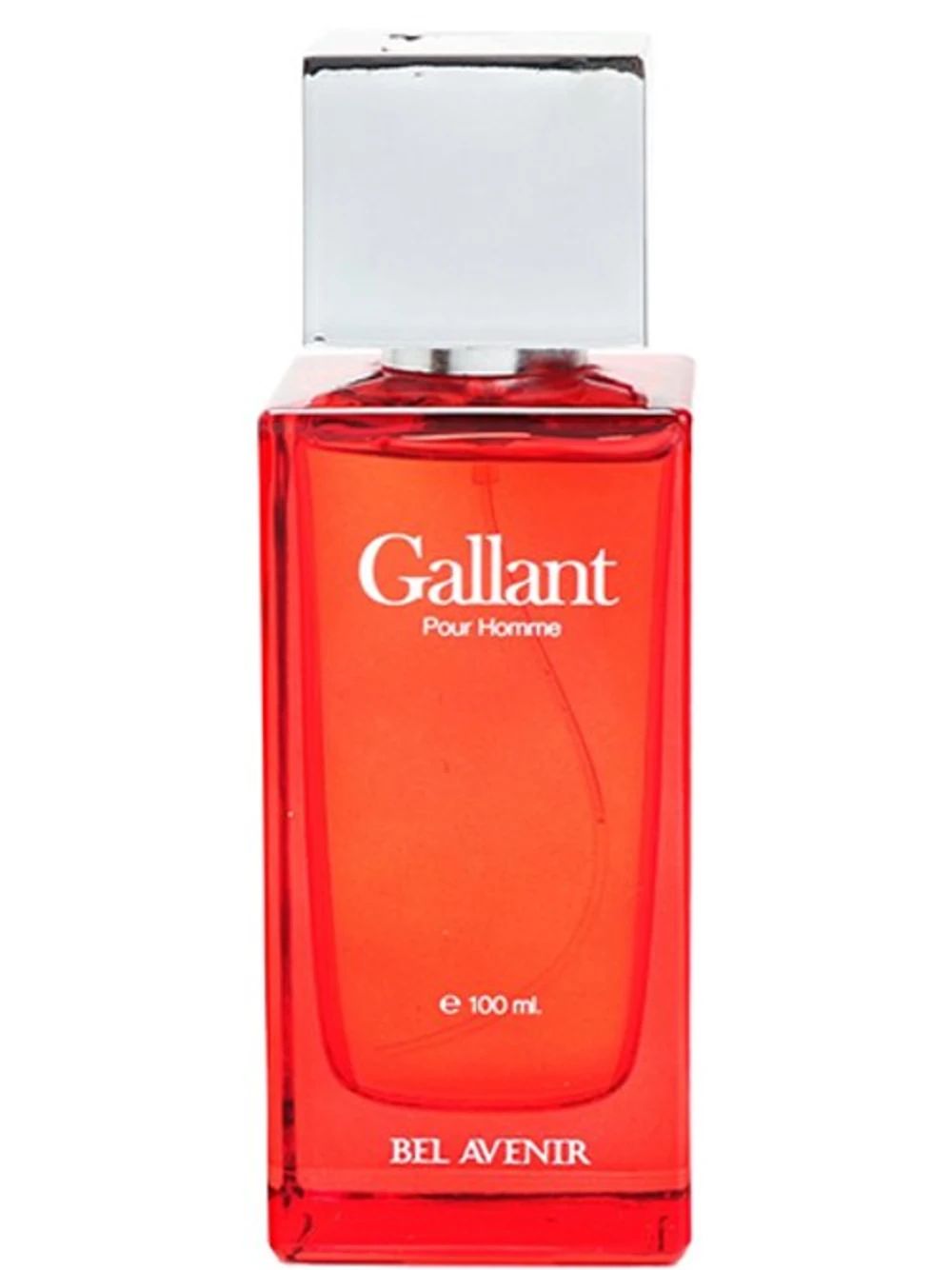 Gallant by Bel Avenir