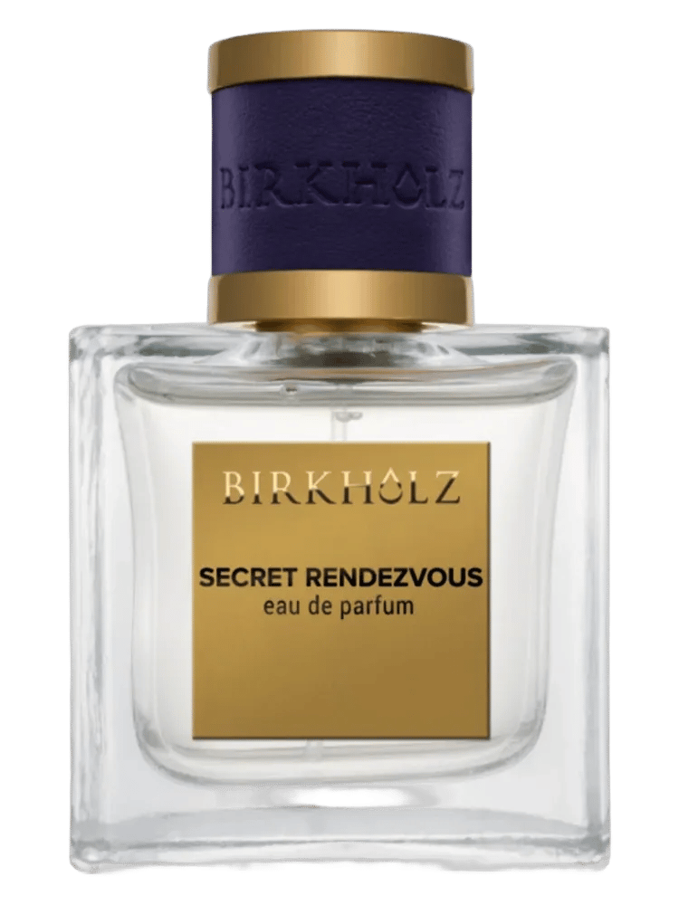Secret Rendezvous by Birkholz