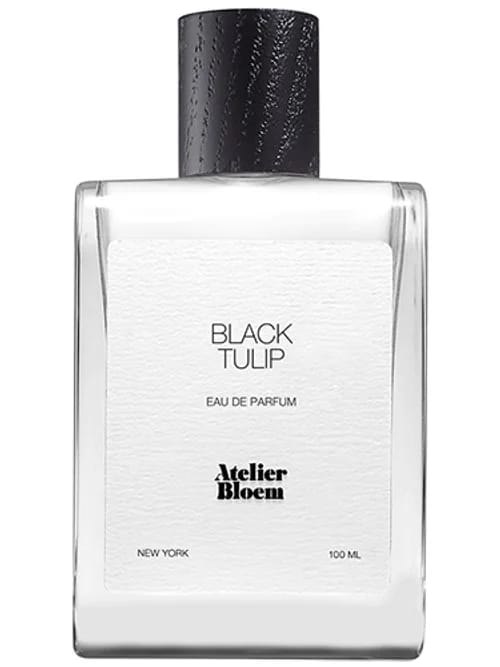 Black Tulip by Atelier Bloem