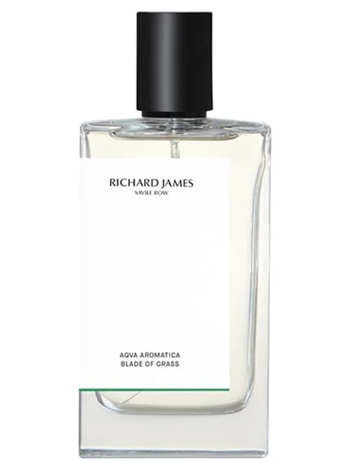 Blade Of Grass by Richard James