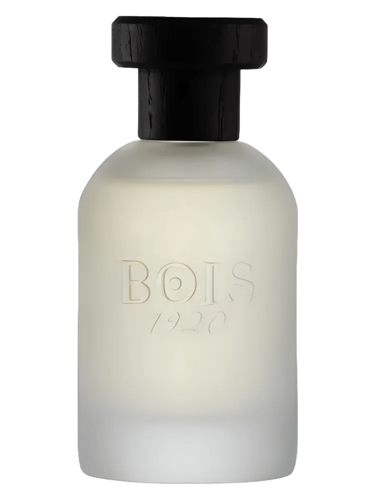 Classic 1920 by Bois 1920