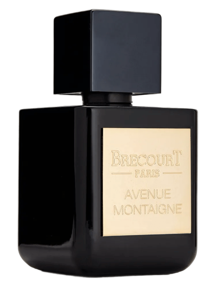 Avenue Montaigne by Brecourt