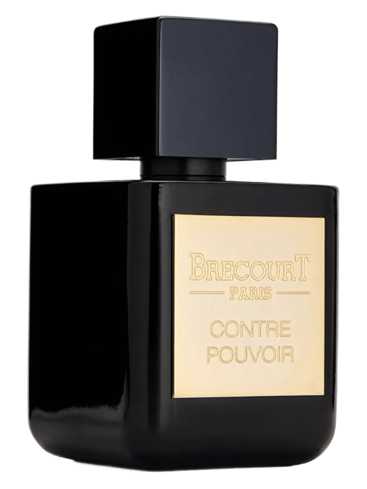 Contre Pouvoir by Brecourt