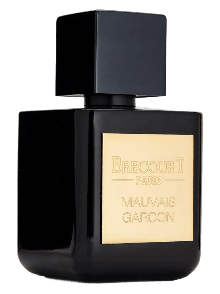 Mauvais Garçon by Brecourt