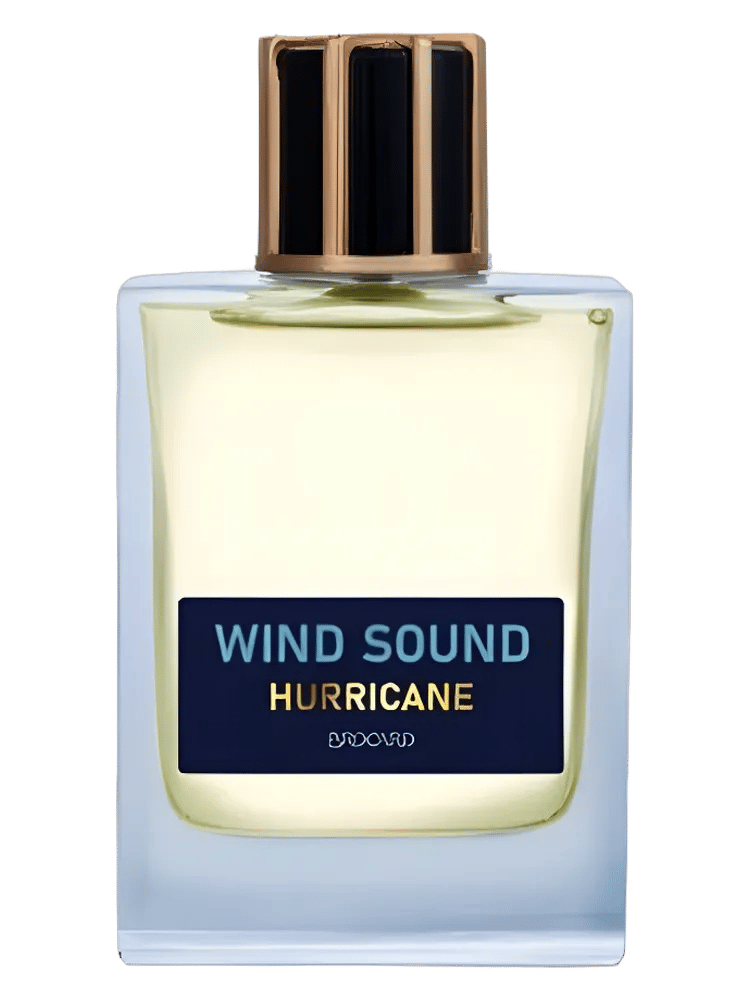 Hurricane by Brocard / Брокард