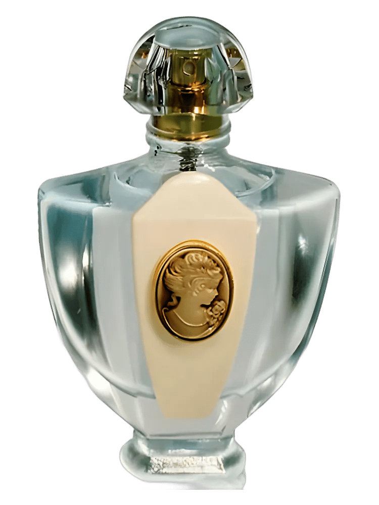 L'Eau Classique Pour La Soir by Brocard / Брокард