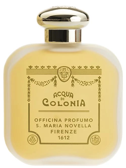 Calicantus by Santa Maria Novella