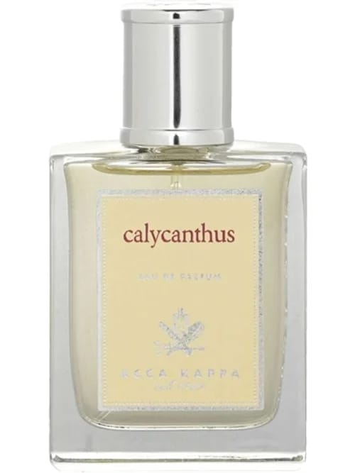Calycanthus by Acca Kappa