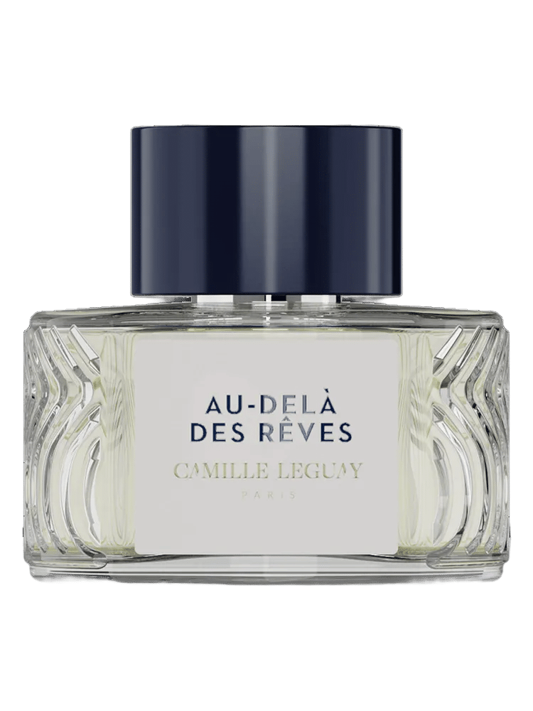 Au-delà des Rêves by Camille Leguay