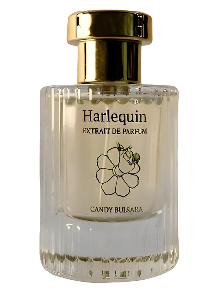 Harlequin by Candy Bulsara