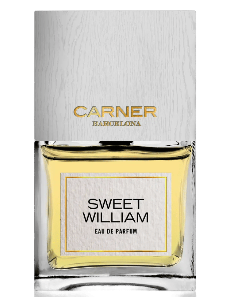 Sweet William by Carner Barcelona