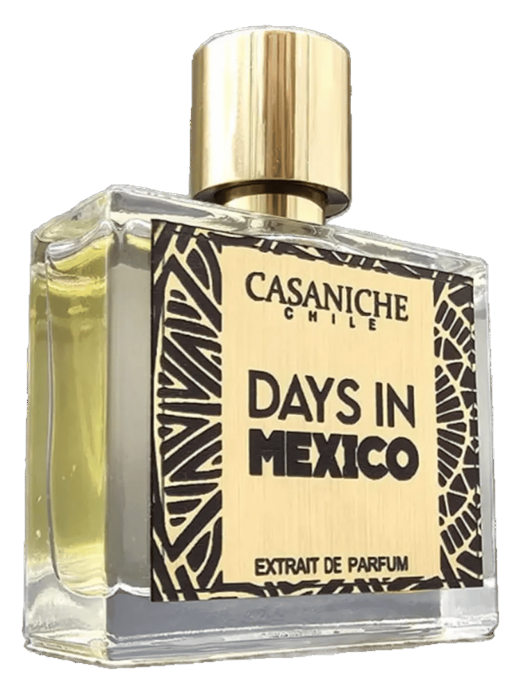 Days in México by Casaniche