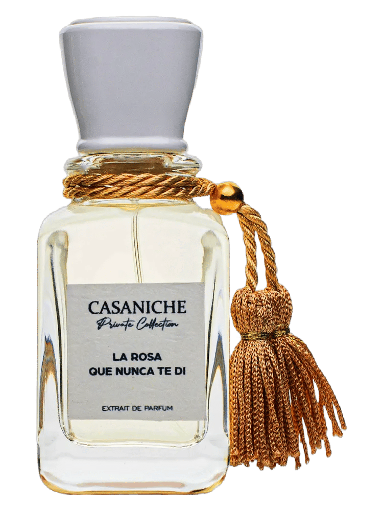 La rosa que nunca te di by Casaniche