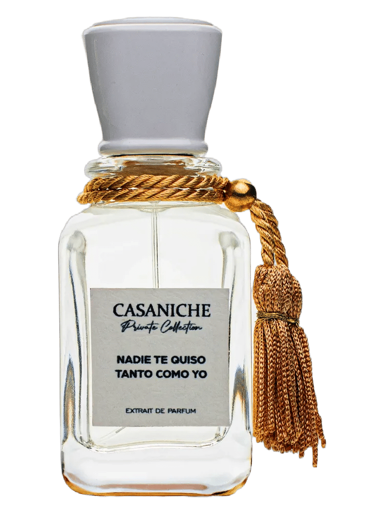 Nadie te quiso tanto como yo by Casaniche