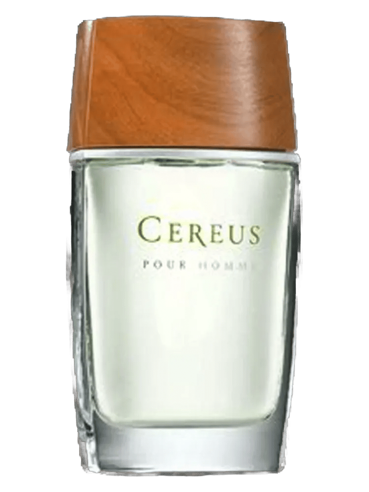 Cereus No.5 by Cereus