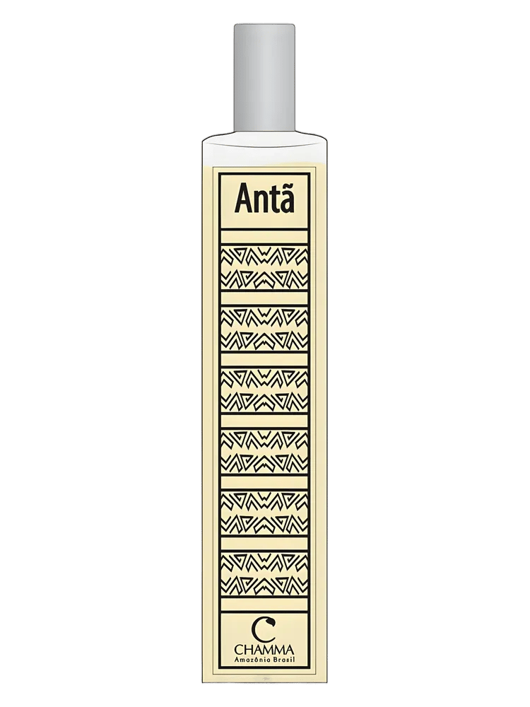Antã by Chamma da Amazônia