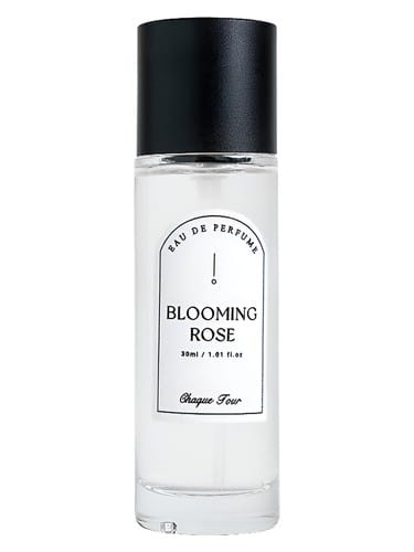 Blooming Rose by Chaque Jour