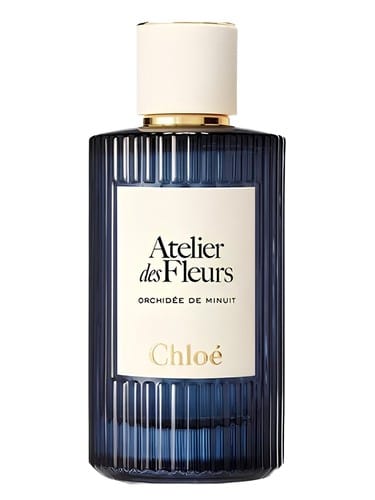 Orchidée De Minuit by Chloé