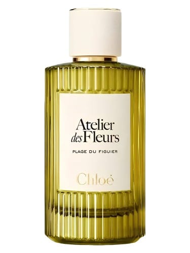 Plage Du Figuier by Chloé