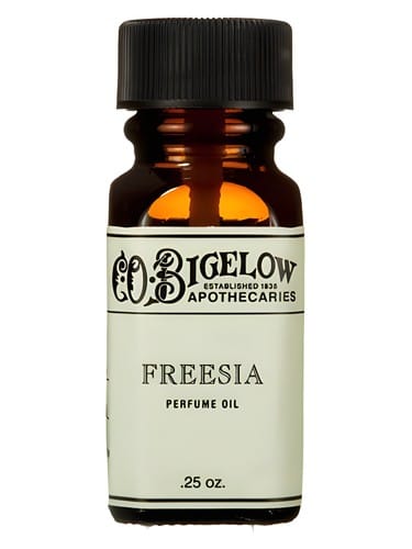 Freesia by C.O.Bigelow