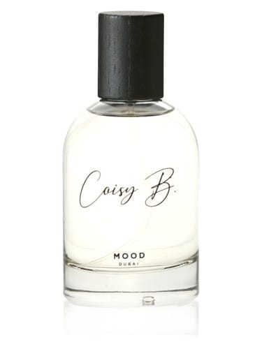 Mood by Coisy B.