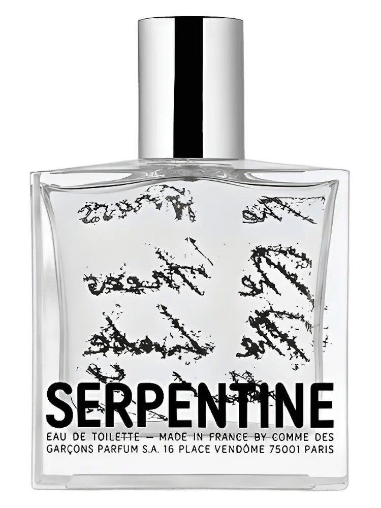 Serpentine by Comme Des Garçons
