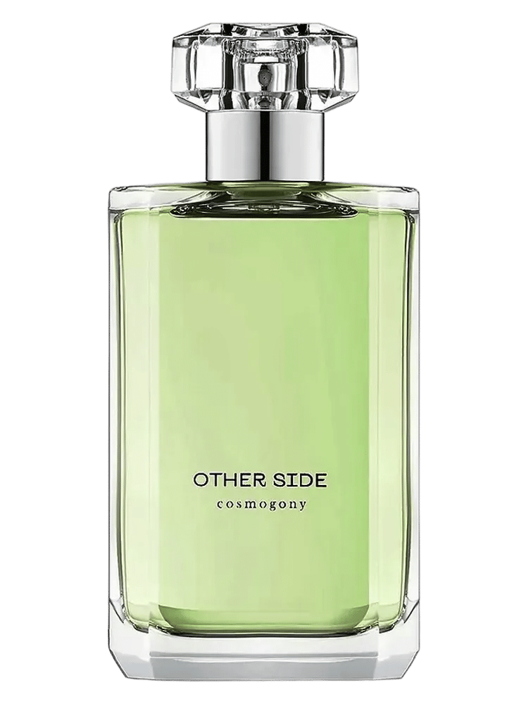 Other Side by Cosmogony