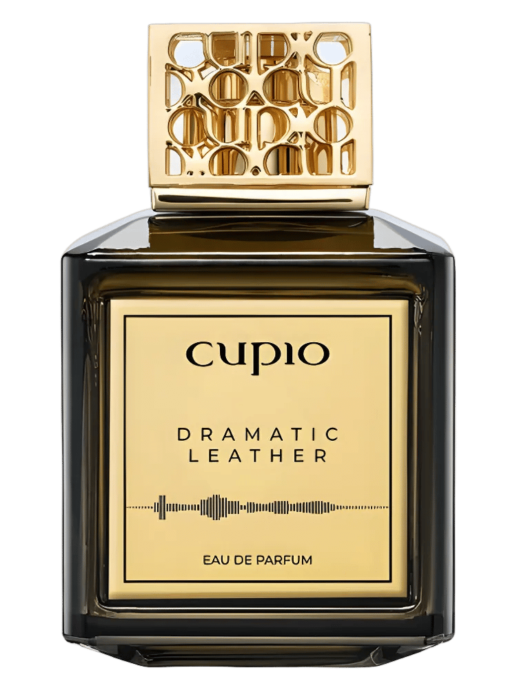Dramatic Leather by Cupio