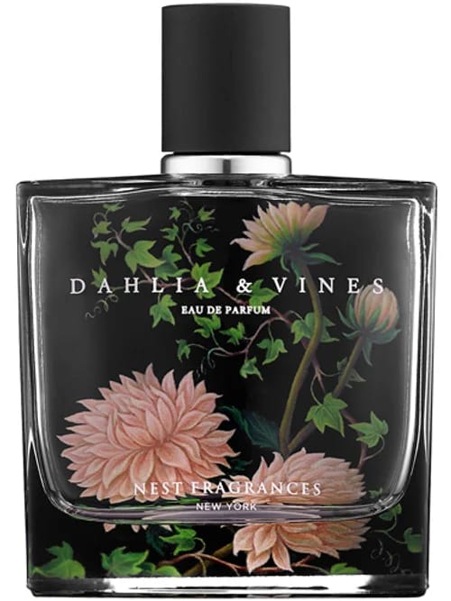 Dahlia & Vines by Nest