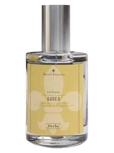 Aurea by Derbe