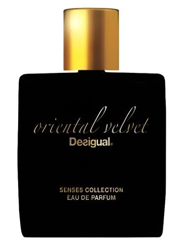 Oriental Velvet by Desigual