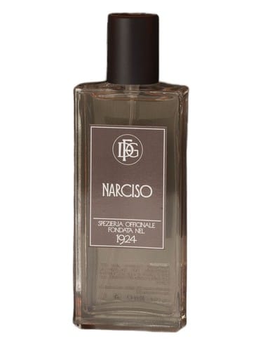 Narciso by DFG1924