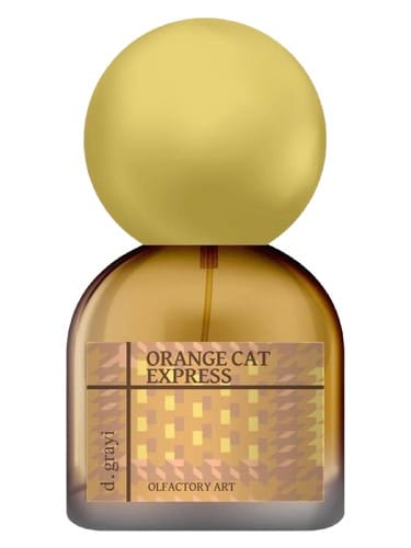 Orange Cat Express by d.grayi