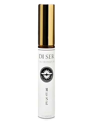 Muse by Di Ser / ディセル
