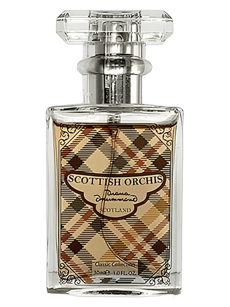 Scottish Orchis Classic by Diana Drummond