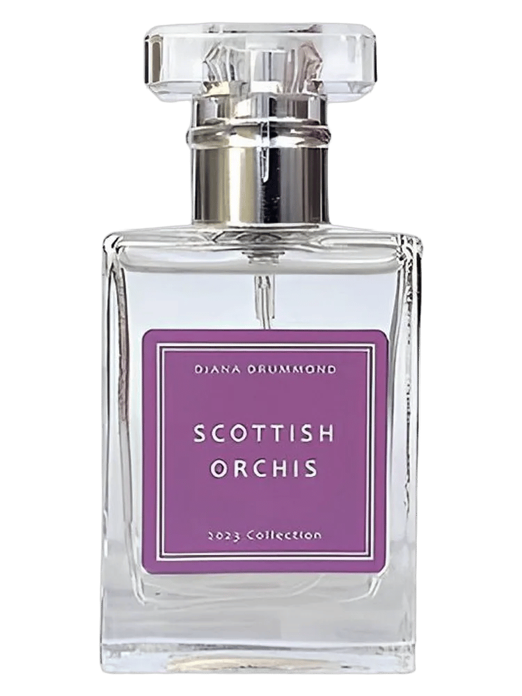 Scottish Orchis by Diana Drummond