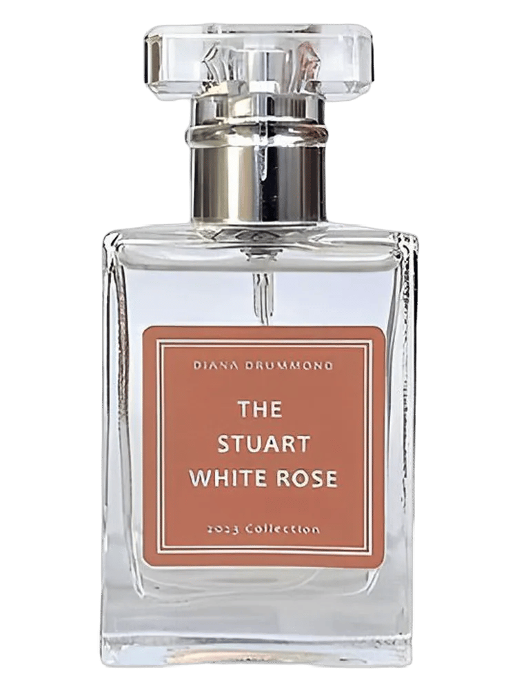The Stuart White Rose by Diana Drummond