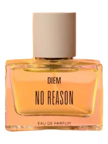 No Reason by DIEM