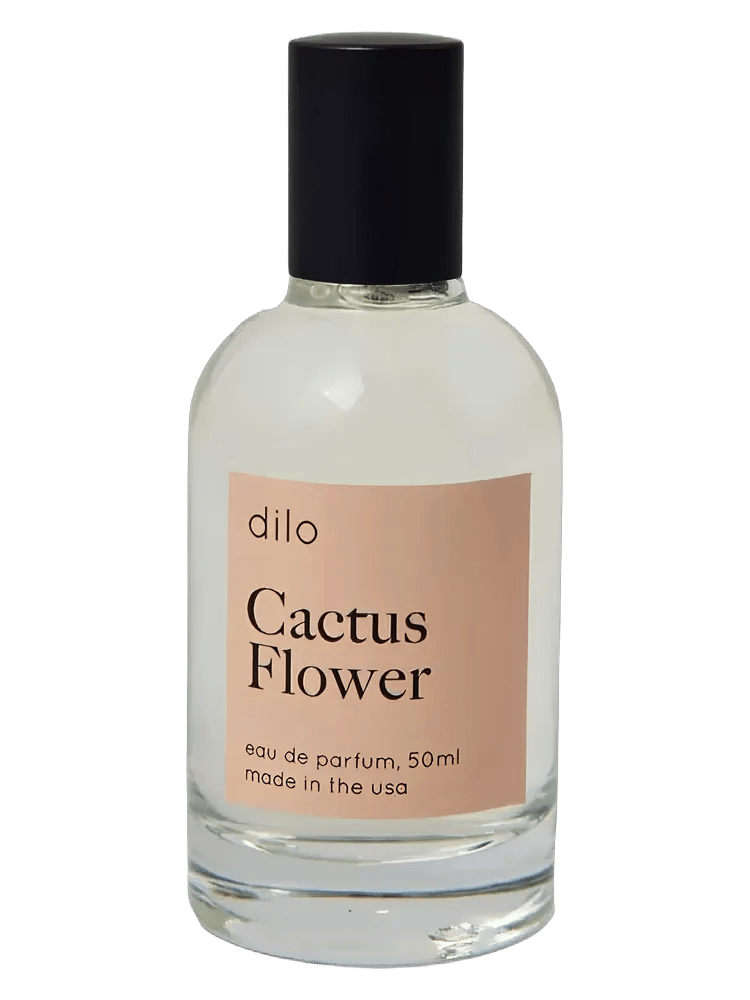 Cactus Flower by Dilo