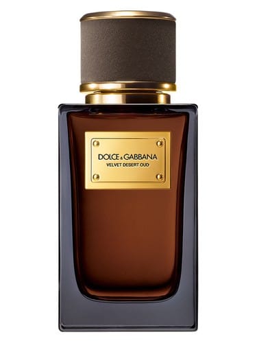 Velvet Desert Oud by Dolce & Gabbana