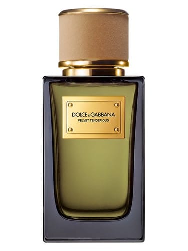 Velvet Tender Oud by Dolce & Gabbana