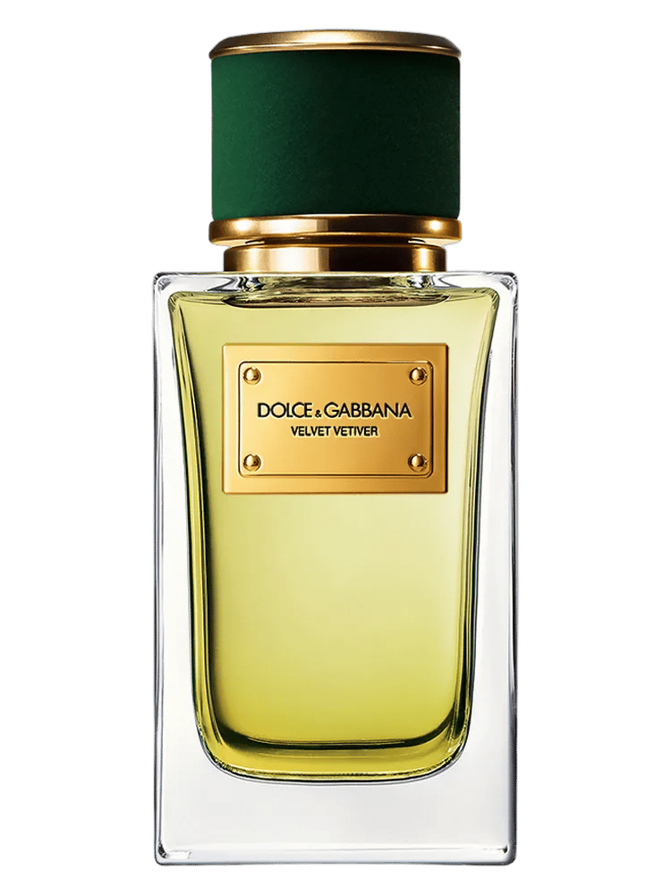 Velvet Vetiver by Dolce & Gabbana
