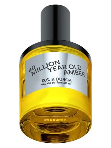 40 Million Year Old Amber by D.S. & Durga