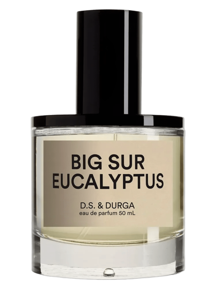 Big Sur Eucalyptus by D.S. & Durga