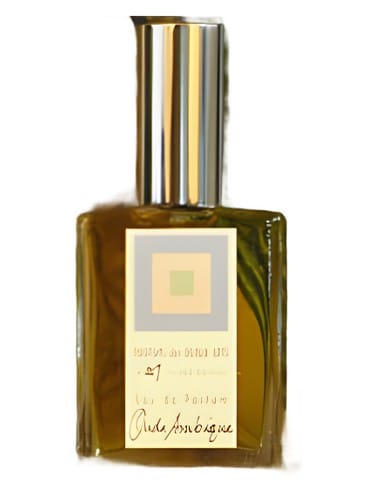 Oude Arabique by Dsh Perfumes