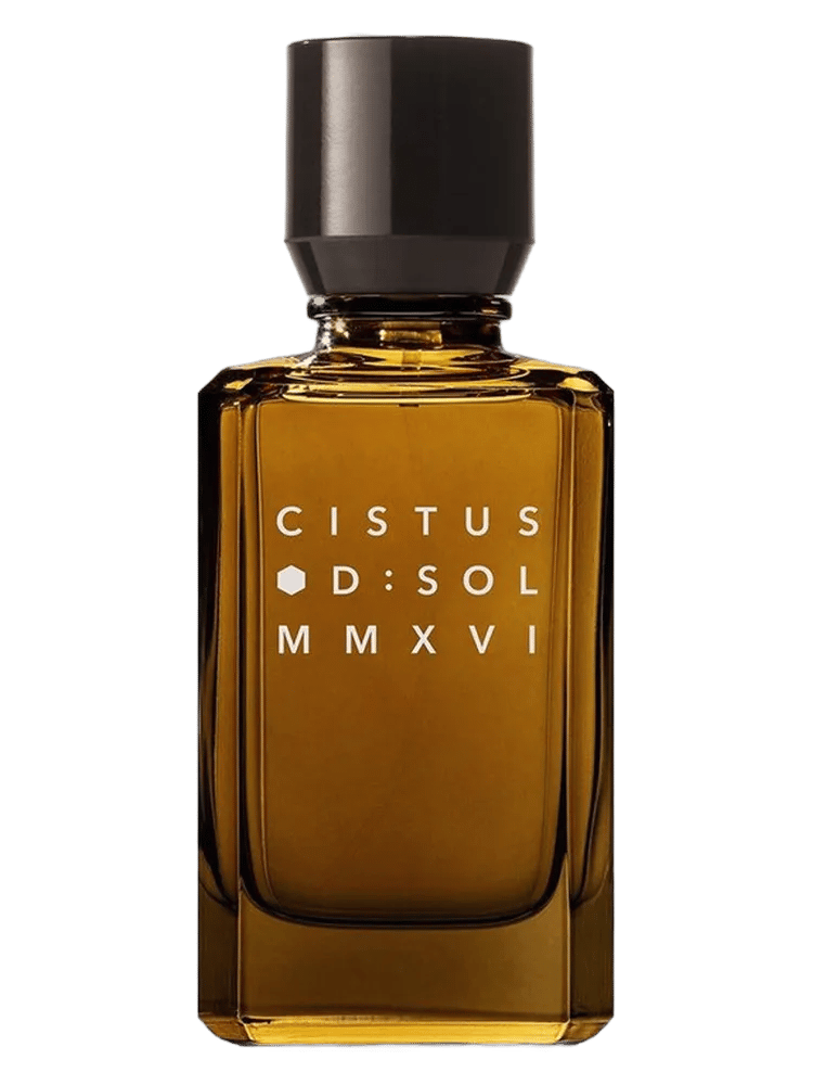 Cistus by D:SOL MMXVI